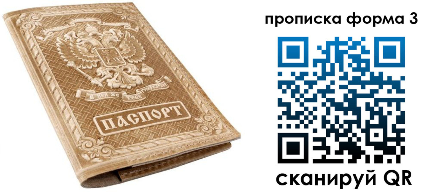 прописка гарантия в Петрозаводске